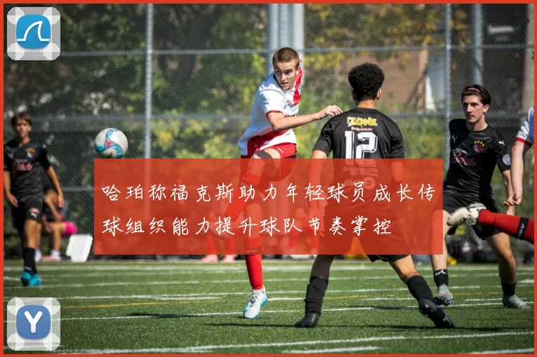 哈珀称福克斯助力年轻球员成长传球组织能力提升球队节奏掌控