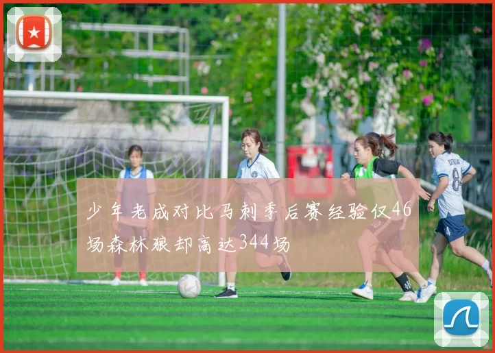 少年老成对比马刺季后赛经验仅46场森林狼却高达344场